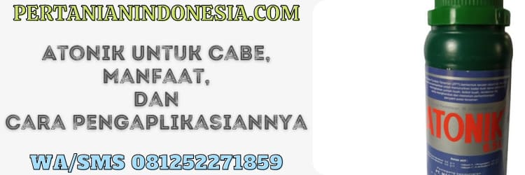 atonik,atonik 6.5 l,zpt,zat pengatur tumbuh,zpt atonik